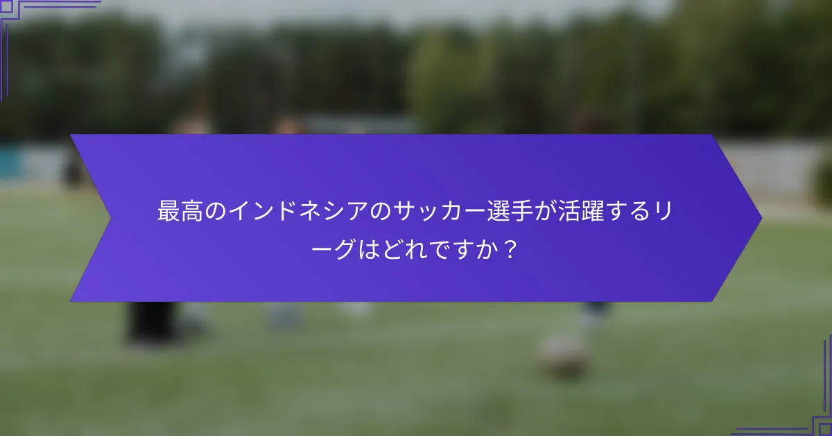 最高のインドネシアのサッカー選手が活躍するリーグはどれですか？